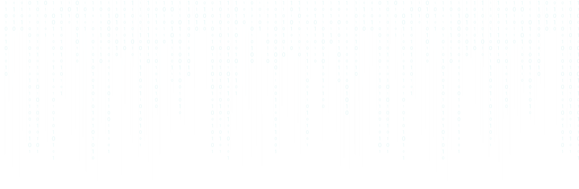 {Ethical Hacker} with strong passion for ethical hacking and penetration testing